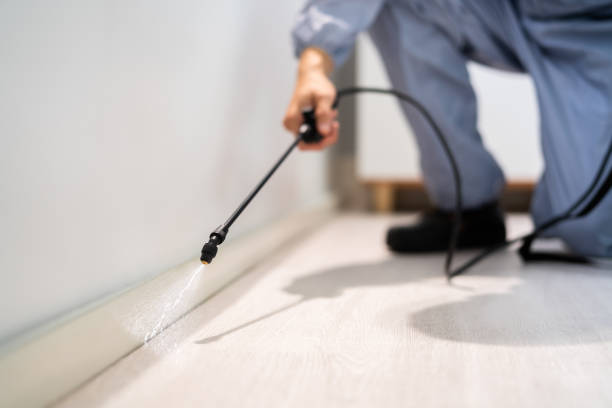 Licensed Cockroach Control service in Shorewood, IL - Nex Pest Control