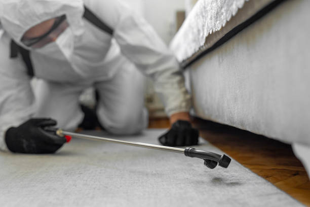 Professional Cockroach Control technician working in Shorewood, IL