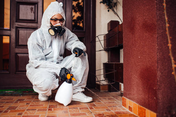 Reliable Cockroach Control contractor in Shorewood, IL by Nex Pest Control