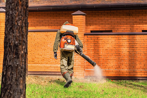 Trusted Termite Control service in Shorewood, IL - Nex Pest Control